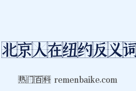 北京人在纽约反义词是什么意思的图片